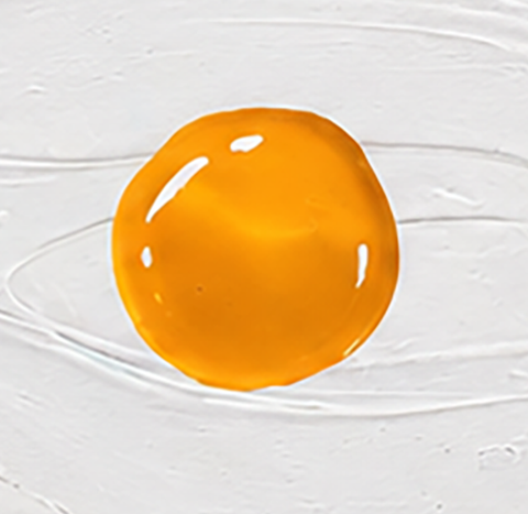 The Egg