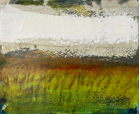 Field, Suffolk Spring