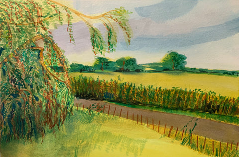 View from the Studio 2