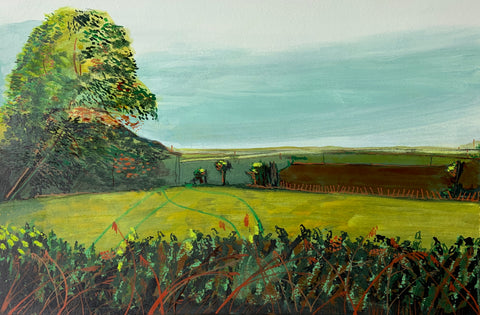 View from the Studio 4